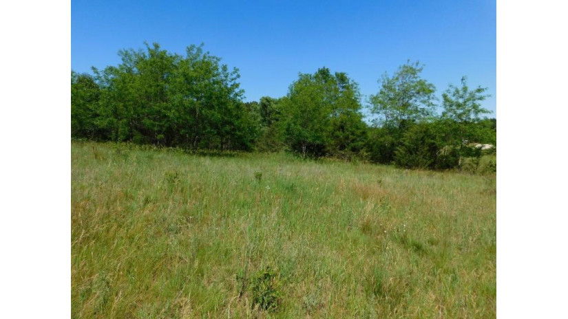 Eagle Lane Lot 57 Mecan, WI 53949 by Adashun Jones, Inc. - OFF-D: 920-745-8095 $30,900