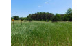 Pine Drive Lot 75 Mecan, WI 53949 by Adashun Jones, Inc. - OFF-D: 920-745-8095 $33,900