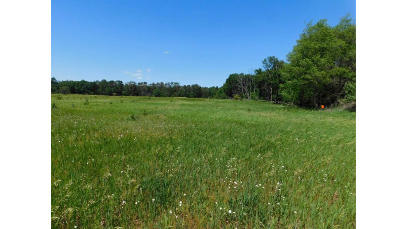 Pine Drive Lot 75 Mecan, WI 53949 by Adashun Jones, Inc. - OFF-D: 920-745-8095 $33,900