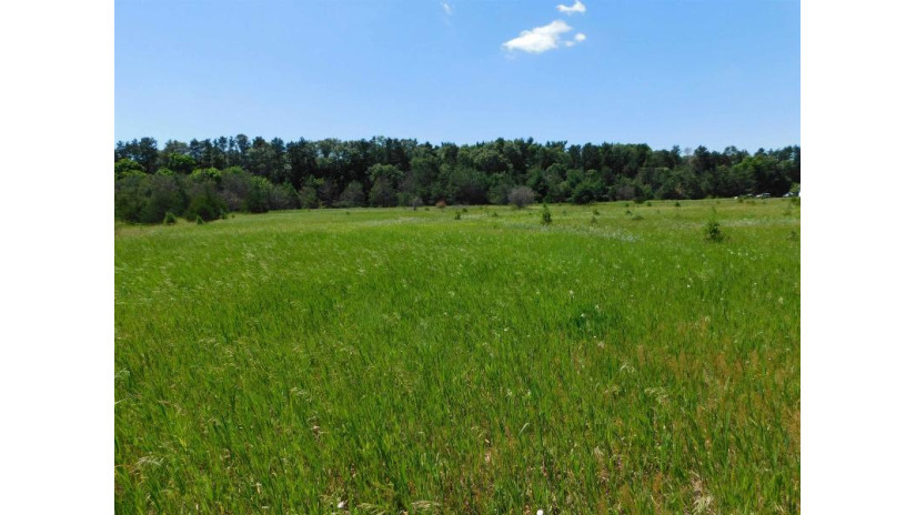 Pine Drive Lot 75 Mecan, WI 53949 by Adashun Jones, Inc. - OFF-D: 920-745-8095 $33,900