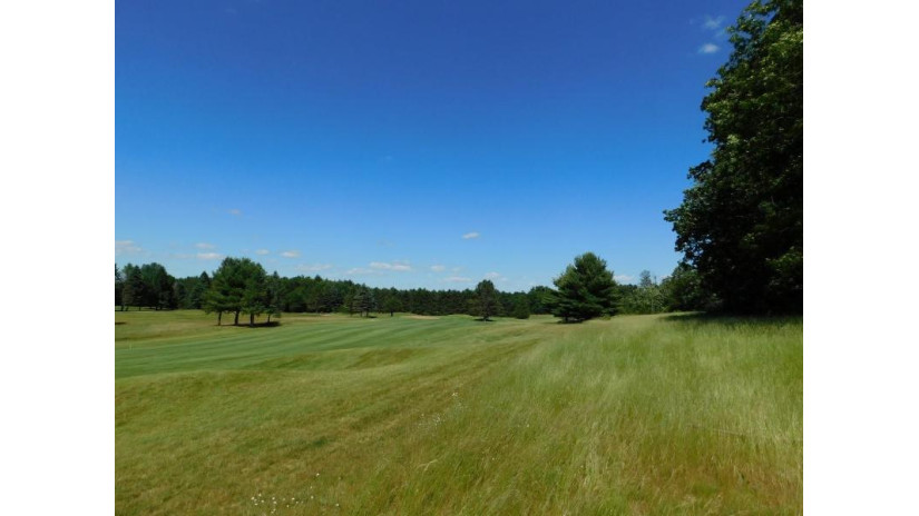 Golf Ridge Circle Lot 95 Mecan, WI 53949 by Adashun Jones, Inc. - OFF-D: 920-745-8095 $36,500