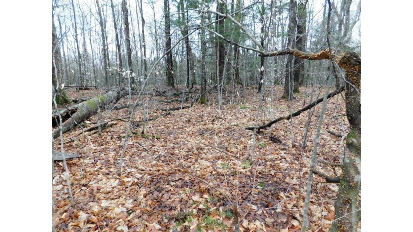 Cty Rd M Wolf River, WI 54491-0000 by RE/MAX North Winds Realty, LLC $84,900