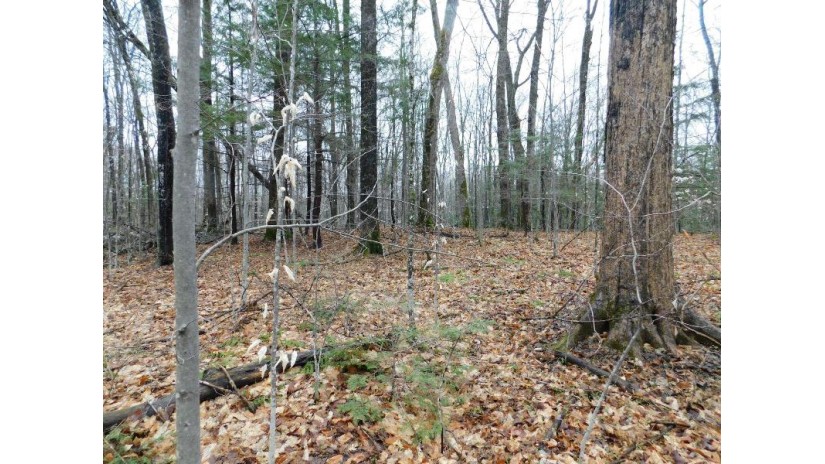 Cty Rd M Wolf River, WI 54491-0000 by RE/MAX North Winds Realty, LLC $84,900