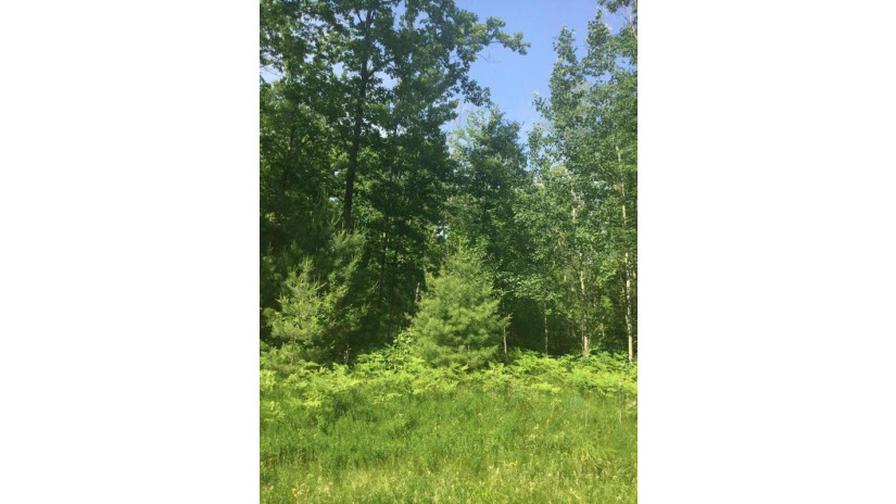 Stroika Lane Lot 5 Stephenson, WI 54114 by Pine Cone Realty Llc $28,500