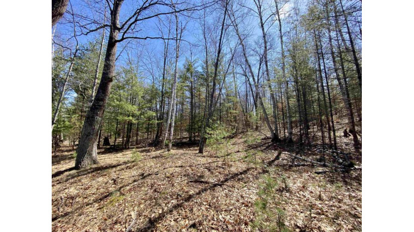 Menominee Shores Drive Lot 3 Wagner, WI 54177 by Bigwoods Realty, Inc. $67,900