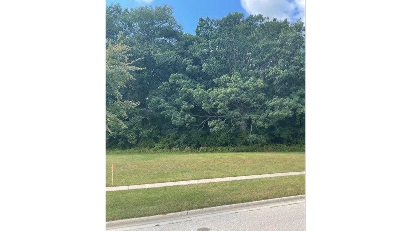 Stordeur Drive Lot 119 Howard, WI 54313 by Mark D Olejniczak Realty, Inc. - Office: 920-432-1007 $95,900