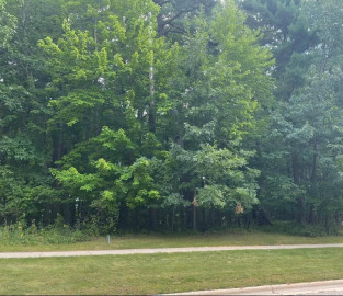 Pinecrest Road Lot 126, Howard, WI 54313