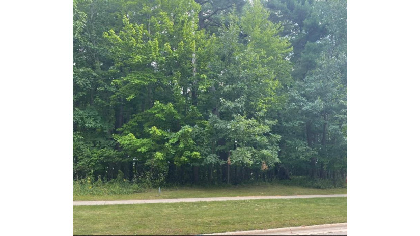 Pinecrest Road Lot 126 Howard, WI 54313 by Mark D Olejniczak Realty, Inc. - Office: 920-432-1007 $95,900