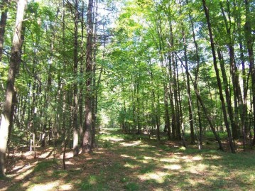 Timber Trail, Suamico, WI 54713-8241