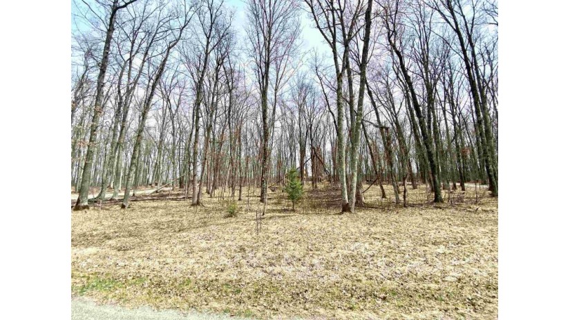 Hydro Court Lot 7 Stephenson, WI 54114 by Bigwoods Realty, Inc. $74,000