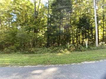 Badger Ranch Road, Wolf River, WI 54491-0000