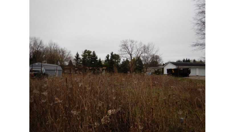 Countryside Lane Oconto Falls, WI 54154 by Trimberger Realty, LLC - CELL: 920-639-2444 $19,900