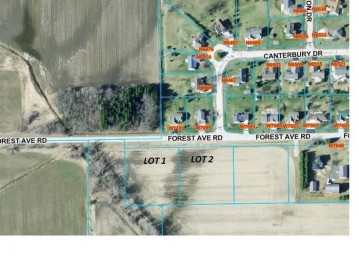 Forest Ave Road Lot 1, Fond Du Lac, WI 54937