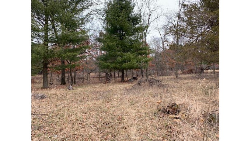 High Point Ridge Lot 8 Lind, WI 54981 by RE/MAX Lyons Real Estate - OFF-D: 715-281-4552 $20,000