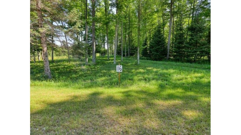 Rector Road Lot 16 Middle Inlet, WI 54177 by Berkshire Hathaway HomeServices Starck Real Estate $124,000