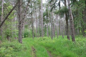 Sundew Road, Abrams, WI 54101