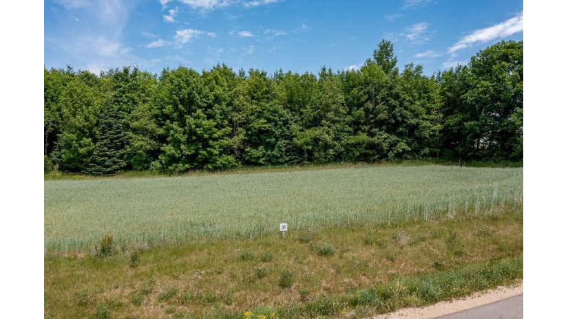 1201 Esther Ann Lane Lot 35 Hortonville, WI 54944 by Expert Real Estate Partners, Llc - PREF: 920-460-0869 $79,900