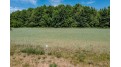 1205 Esther Ann Lane Lot 33 Hortonville, WI 54944 by Expert Real Estate Partners, Llc - PREF: 920-460-0869 $79,900