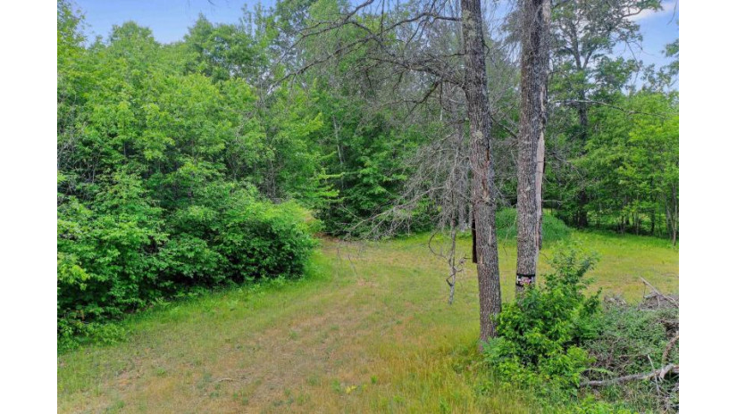 Balsam Lake Road Lot 40 Stephenson, WI 54114 by Keller Williams Green Bay - PREF: 913-396-3868 $67,250