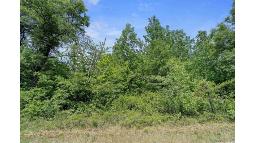 Balsam Lake Road Lot 40 Stephenson, WI 54114 by Keller Williams Green Bay - PREF: 913-396-3868 $67,250