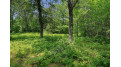 Balsam Lake Road Lot 40 Stephenson, WI 54114 by Keller Williams Green Bay - PREF: 913-396-3868 $67,250