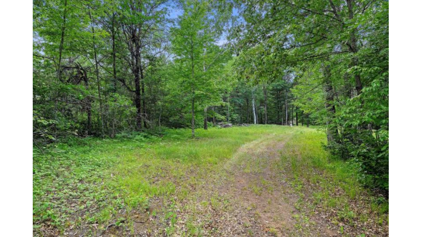 Balsam Lake Road Lot 40 Stephenson, WI 54114 by Keller Williams Green Bay - PREF: 913-396-3868 $67,250