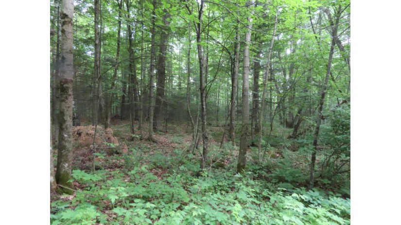 Easement Lane Lot 12 Blackwell, WI 54541 by Century 21 Northwoods Team - c21nwds@yahoo.com $18,500