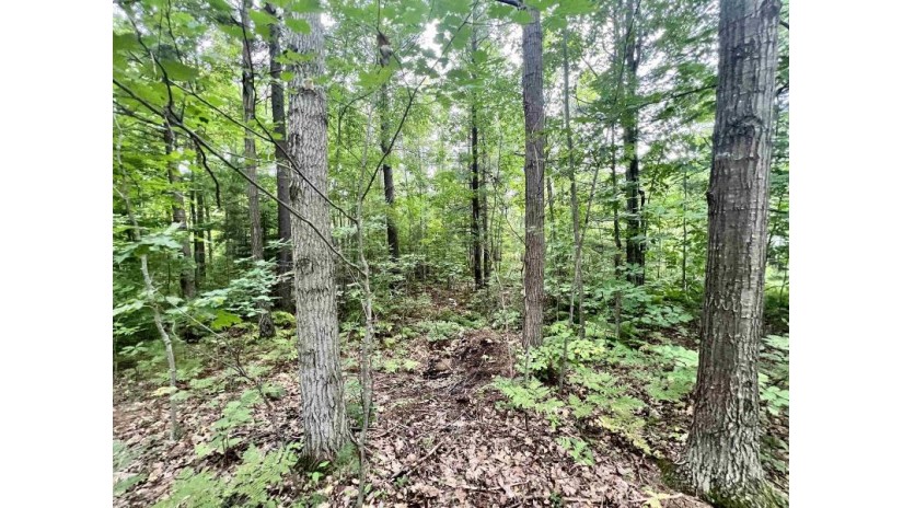 Lauren Lane Lot 6 Peshtigo, WI 54143 by Bigwoods Realty, Inc. $44,400