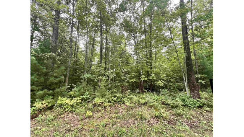 Lauren Lane Lot 5 Peshtigo, WI 54143 by Bigwoods Realty, Inc. $44,400