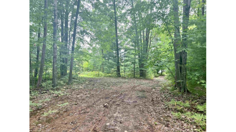 Lauren Lane Lot 5 Peshtigo, WI 54143 by Bigwoods Realty, Inc. $44,400