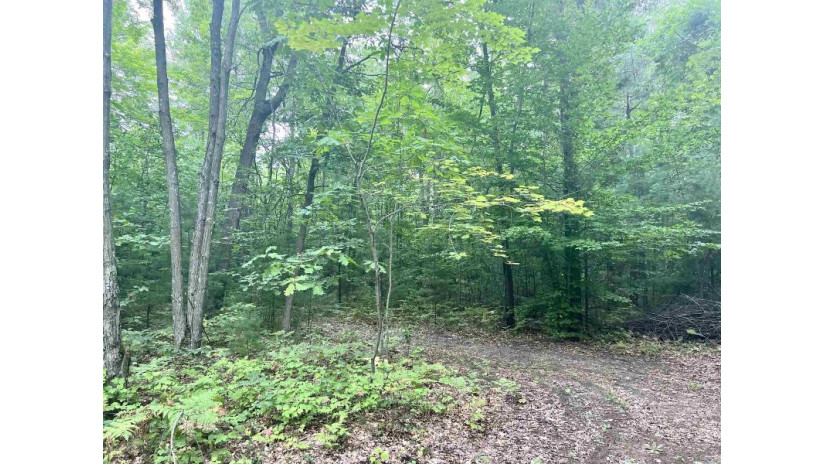 Lauren Lane Lot 5 Peshtigo, WI 54143 by Bigwoods Realty, Inc. $44,400