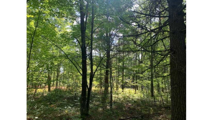Swan Bay Road Lot 3 Athelstane, WI 54102 by Signature Realty, Inc. $78,500
