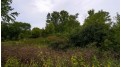 Pleasant View Drive Germantown, WI 53022 by Deer & Deer Hunting Properties - OFF-D: 920-716-1680 $230,000