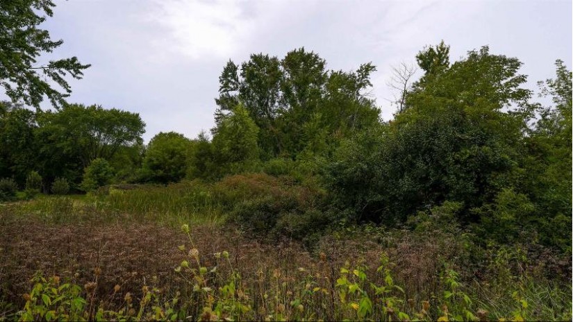 Pleasant View Drive Germantown, WI 53022 by Deer & Deer Hunting Properties - OFF-D: 920-716-1680 $230,000