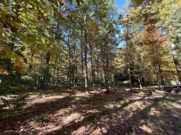 Pines Road, Middle Inlet, WI 54177