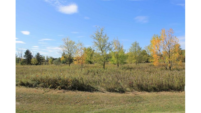 Log Cabin Road Osceola, WI 53079 by Whitetail Properties Real Estate, LLC $152,000