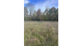 County Rd B Pound, WI 54112 by Bigwoods Realty, Inc. $24,000