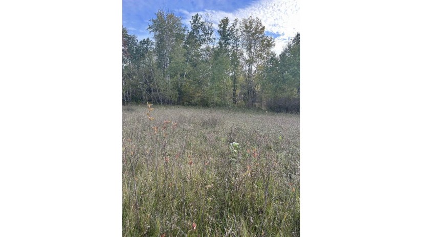 County Rd B Pound, WI 54112 by Bigwoods Realty, Inc. $24,000