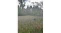 County Rd B Pound, WI 54112 by Bigwoods Realty, Inc. $24,000