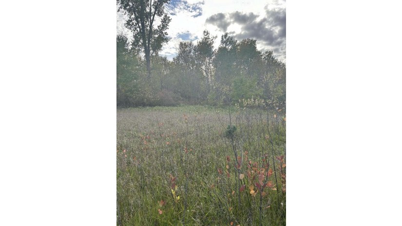 County Rd B Pound, WI 54112 by Bigwoods Realty, Inc. $24,000