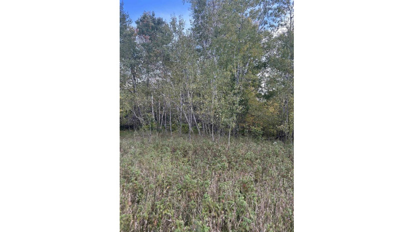 County Rd B Pound, WI 54112 by Bigwoods Realty, Inc. $24,000