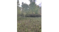 County Rd B Pound, WI 54112 by Bigwoods Realty, Inc. $24,000