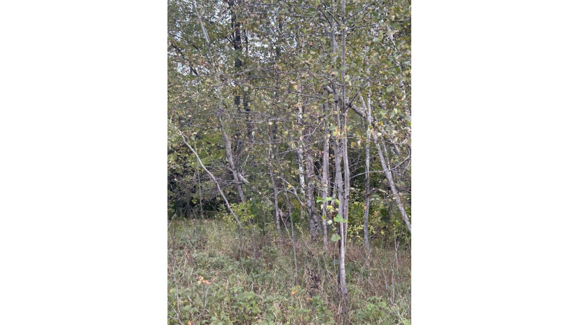 County Rd B Pound, WI 54112 by Bigwoods Realty, Inc. $24,000