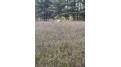 County Rd B Pound, WI 54112 by Bigwoods Realty, Inc. $24,000