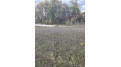 County Rd B Pound, WI 54112 by Bigwoods Realty, Inc. $24,000