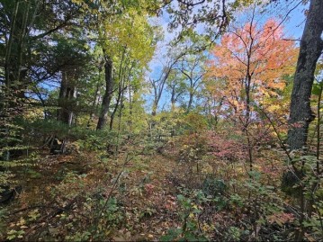 Marlwood Drive Lot 20, Deerfield, WI 54982