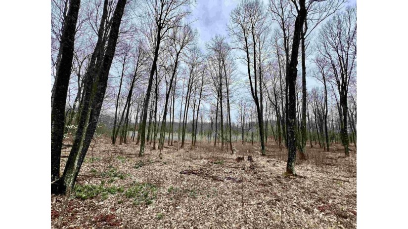 Limberg Lane Lot 3 Silver Cliff, WI 54104 by Bigwoods Realty, Inc. $69,900