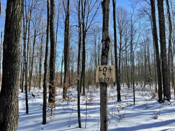 N13064 Limberg Lane Lot 4, Silver Cliff, WI 54104