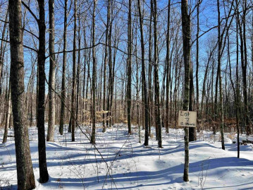 N12948 Limberg Lane Lot 7, Silver Cliff, WI 54104