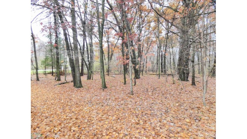 Maple Grove Lot 4 Suamico, WI 54173 by Gojimmer Real Estate - gojimmer@yahoo.com $127,900